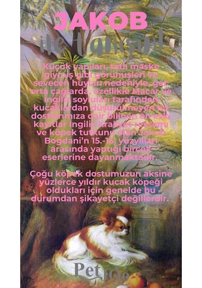 Petjoo 8.Jakob Gri-Pembe Qr'lı Köpek Künyesi