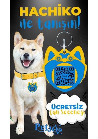 Petjoo 19.Hachiko Mavi-Sarı Qr'lı Köpek Künyesi