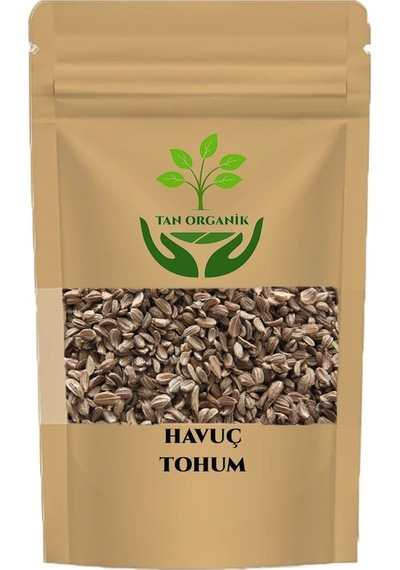 Havuç Tohumu 40gr