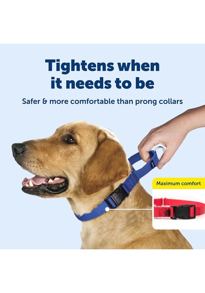 Hızlı Kopçalı Martingale Yaka, 3/4" Medium, Kırmızı Çok Renkli