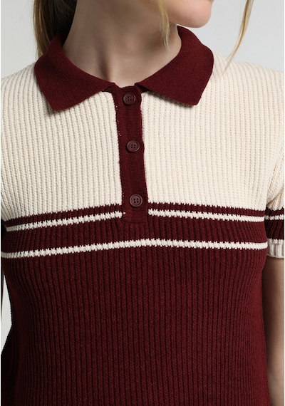 Colin's Colins Slim Fit Polo Yaka Çizgili Kadın Bordo Kısa Kol Kazak Cl1081963 Q1.v1 Bur Burgundy