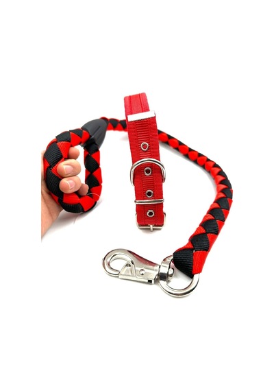 Orta Irk Köpek Gezdirme Ve Boyun Tasması Seti