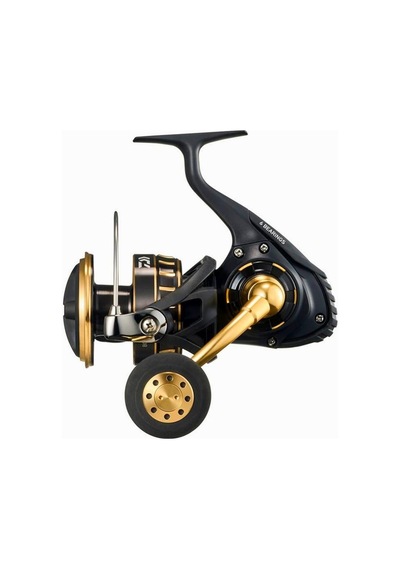Daiwa 23 Bg Sw 8000p Makara-3361