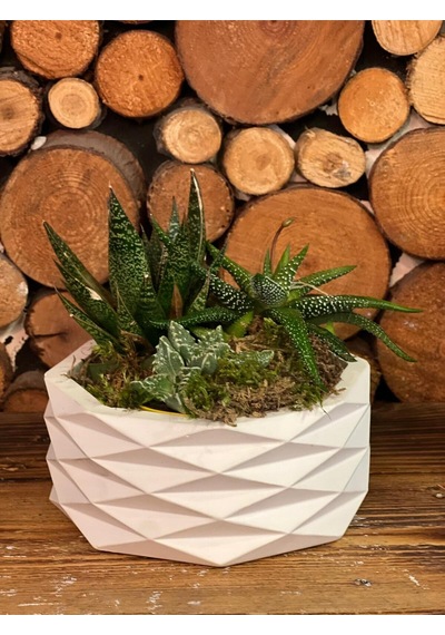 Geometrik Beyaz Dekoratif Saksı Modern Minimal Tasarım Bitki Dahil Değildir