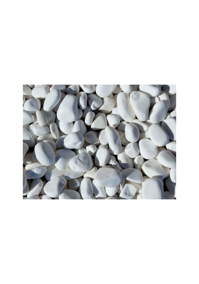 Dolomit Taş 50 Kg 2-4 Cm Beyaz Dolomit Bahçe Taşı Çakıl Taşı Saksı Taşı Akvaryum Teraryum Taşı