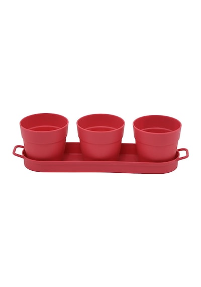 Poliwork 3'lü Set Kaktüs Saksı Mix 0,4 Lt 335 95 90 Mm 48289758