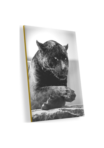 Cakasepetim Siyah Jaguar Ahşap Mdf Tablo