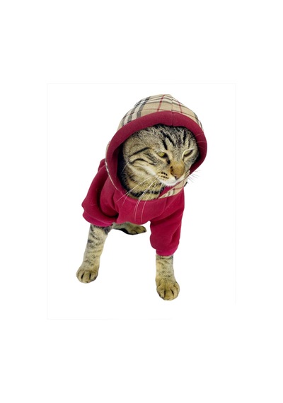 Kemique Bb Limited Duo Kapşonlu Kedi Sweatshirt