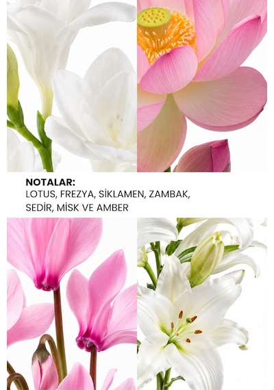 Ixora K110 Desing Kadın Parfüm 50 ML