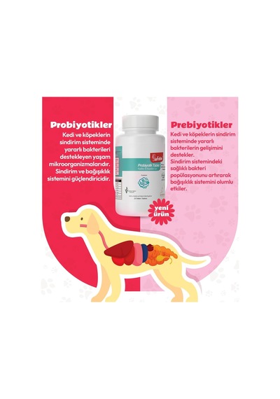 Tablet Probiyotik Kedi Ve Köpek 25 Tablet