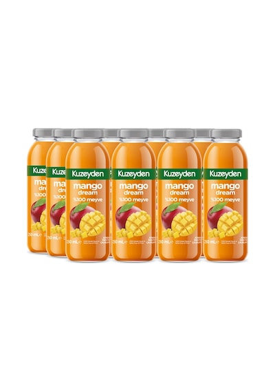 %100 Meyve Mango Dream 12x250ml