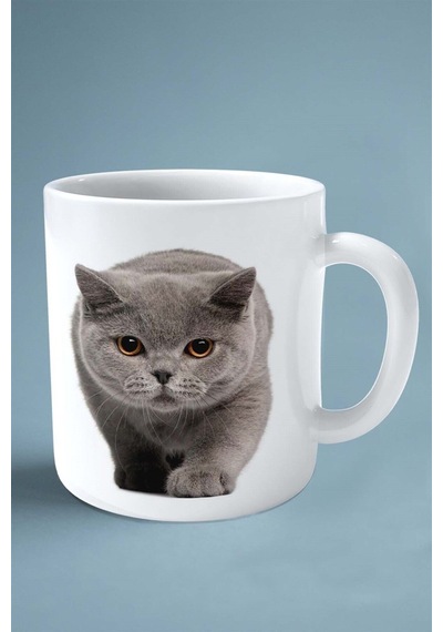 British Shorthairt Kedi İsimli Kişiye Özel Baskılı Kupa Bardak Model 3 Çok Renkli