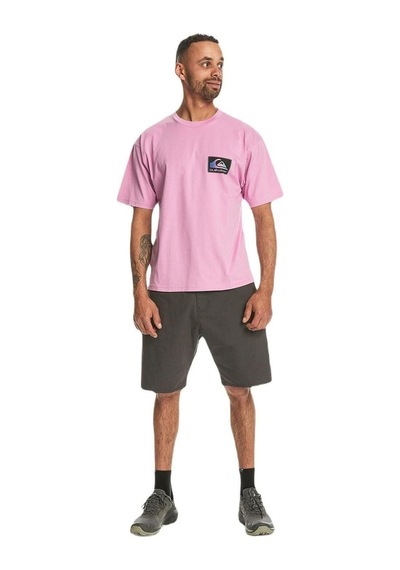 Quiksilver Back Flash Ss Erkek T-shirt-pembe