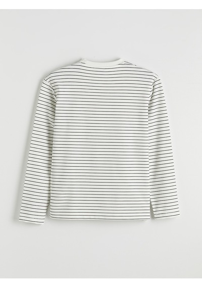 Lcw Vision Ekru Bisiklet Yaka Çizgili Erkek Sweatshirt
