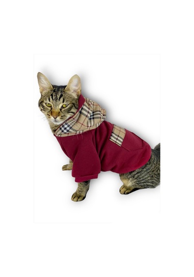 Kemique Bb Limited Duo Kapşonlu Kedi Sweatshirt