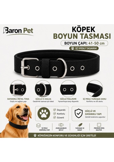 Pedli Köpek Boyun Tasması 41-50 Cm 2 Cm İçi Pedli Metal Tokalı D Halkalı - Siyah Çok Renkli