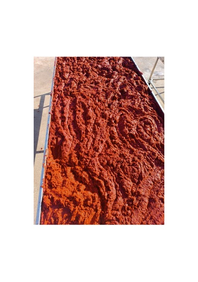 Ev Yapımı Güneş Kurusu Tatlı Biber Salçası 5kg