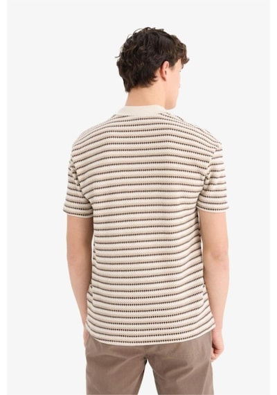 DeFacto Regular Fit Polo Yaka Çizgili Dokulu Kısa Kollu Tişört D7249AX25SPER85