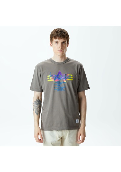 Alpha Industrıes Alpha Industries Alpha Gradient Erkek Gri T-shirt