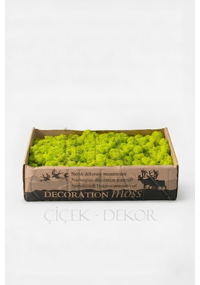 Cihan Çiçekçilik Açık Yeşil Şoklanmış Norveç Moss Ren Geyiği Yosunu 500 Gr