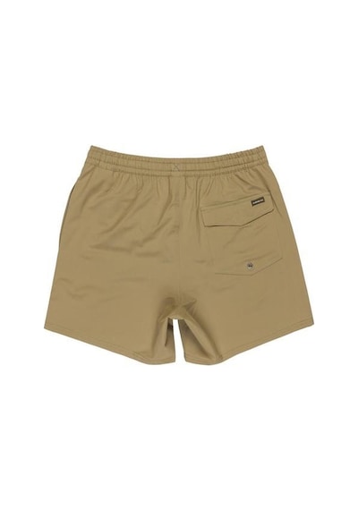 Quiksilver Eqyjv04118-26114 Surfsilk Solid Volley 16 Erkek Şort Mayo Yeşil