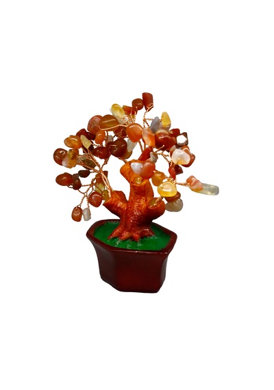 Karnelyan Doğal Taşlı Bonsai Hayat Ağacı Enerji, Tutku Ve Motiv
