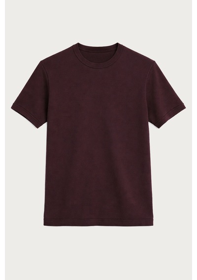 Antioch Pamuklu Erkek T-shirt Bordo