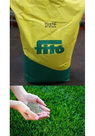 Çim Tohumu Lolium 500 Gr Fito Shade Gölgeye Dayanıklı 3 Karışım