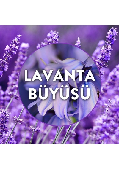 Elektrikli Oda Kokusu Yedek Şişe Lavanta Bahçesi 2x19 Ml
