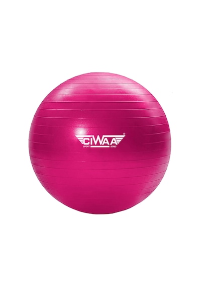 Ciwaa Cwa-2045 Pilates Topu 65 CM Pembe