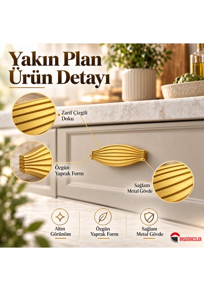 Haskan Taha Düğme Kulp Altın