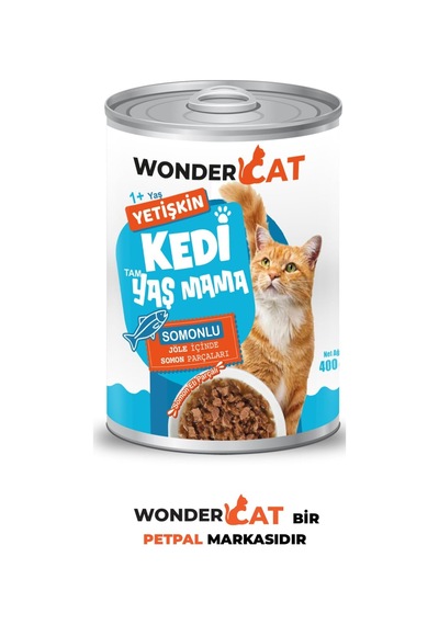 Somonlu Yetişkin Kedi Konservesi 400gr X 12 Adet