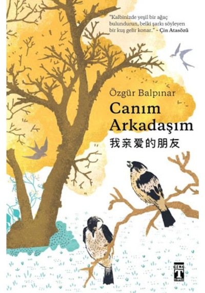 Düşperest Seti 5 Kitap Düşler Atlası-yeryüzünün Kalbi-canım Arkadaşım-göğü Yere-dünyayı