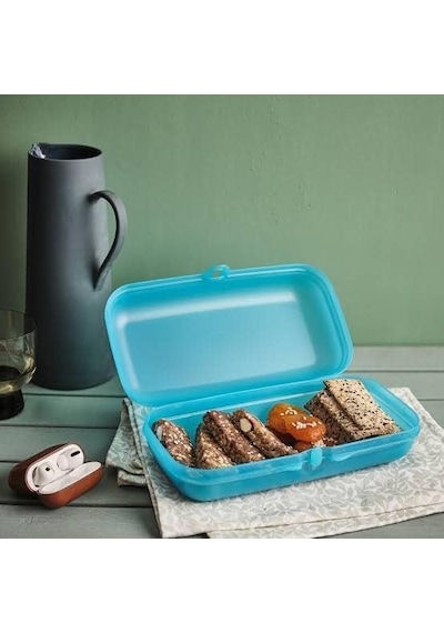 Tupperware Dikdörtgen Saklama Kabı Şeffaf Renk