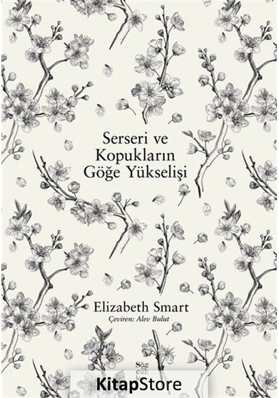 Serseri ve Kopukların Göğe Yükselişi - Elizabeth Smart - Sözcükler