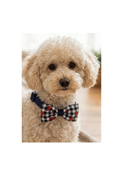 Köpek Papyon Tasma Lacivert