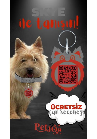 Petjoo 6.Skye Kırmızı-Gri Qr'lı Köpek Künyesi