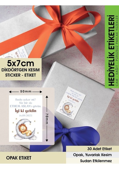 Aslan Konseptli Etiket Hediyelik Etiket - 5x7 CM Dikdörtgen Düz Kesim - 30 Adet Opak Etiket Renkli