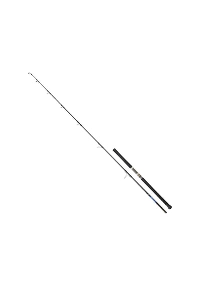 Daiwa Saltiga Gt Cf 259 Cm 100-180 Gr Jig Kamış