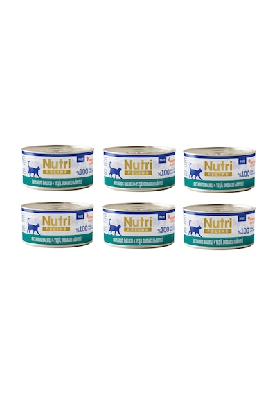Nutri Feline Okyanus Balıklı Ve Midyeli Pate Tahılsız Yetişkin Kedi Konservesi 70 G X 6 Adet
