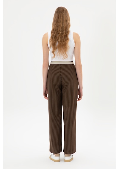 U.S. Polo Assn. Kadın Kahverengi Çizgili Loose Fit Kanvas Pantolon 50317169-VR029