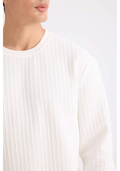 DeFacto Regular Fit Bisiklet Yaka Jakarlı Sweatshirt D5391AX24AUWT32