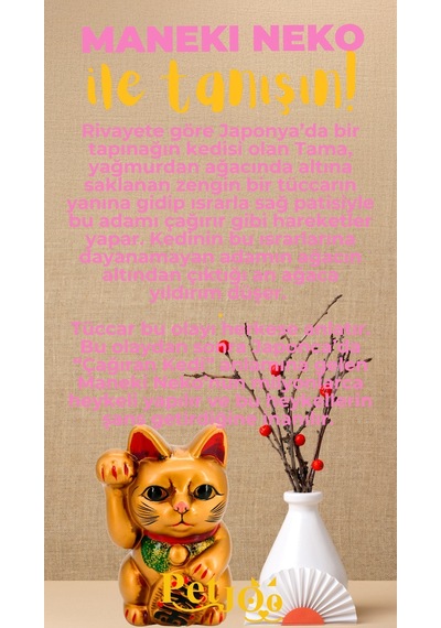 Petjoo 4.Maneki Neko Sarı-Pembe Qr'lı Kedi Künyesi