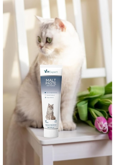 Tr Anti Hairball Tüy Yumağı Ve Sindirim Tamamlayıcı Tüm Kediler Için Malt Paste Macun 100 Gr
