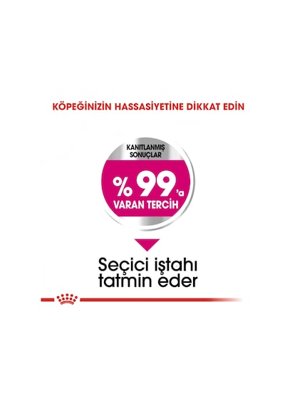 Royal Canin Mini Exigent Küçük Irk Yetişkin Köpek Maması 3 KG