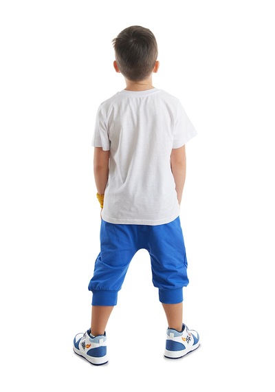 Denokids Surf Fox Erkek Çocuk Yazlık T-shirt Kapri Şort Takım