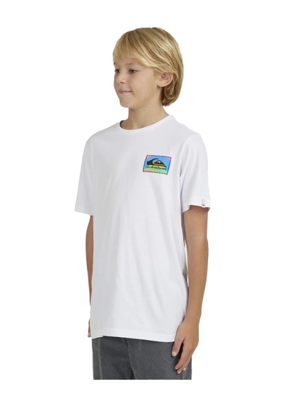 Quiksilver Colour Flow Ss YthErkek Çocuk Tişört  Beyaz Beyaz