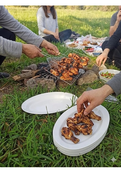 Sert Plastik Kayık Tabak 6'li Set 32 Cm Kırılmaz, Yıkanabilir, Piknik, Servis Ve Sunum Tabağı Çok Renkli