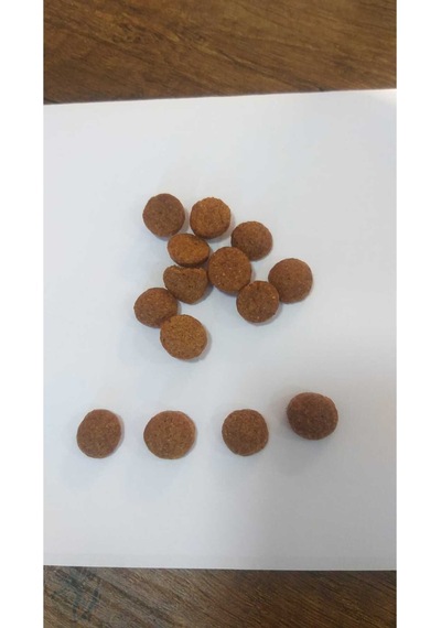 Yetişkin Köpek Kuru Maması Kuzulu Ve Pirinçli 15 Kg