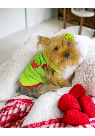 Kemique Pink Strawberry Atlet Köpek Kıyafeti Köpek Elbisesi Kemique Pink Strawberry Atlet Köpek Kıyafeti Köpek Elbisesi